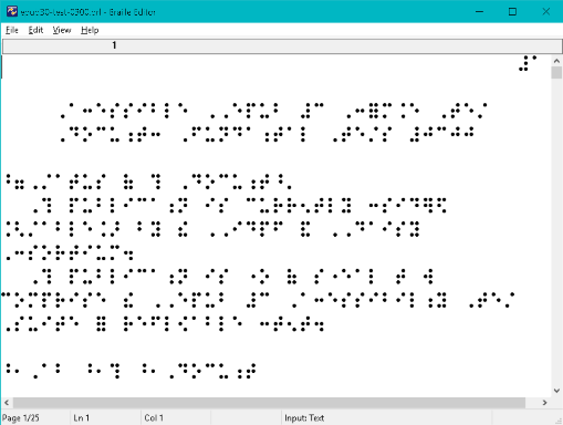 The Braille Editor in EasyConverter