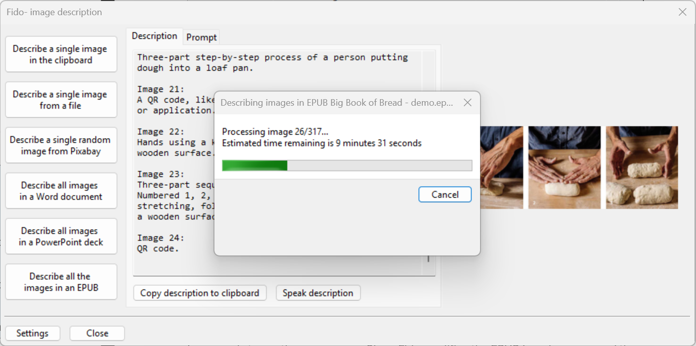 A screenshot of the Fido software describing images in an EPUB file. A pop-up window displays a progress bar for "Processing image 26/317," with an estimated time remaining of 9 minutes and 31 seconds. A preview of the image being described is shown in the window behind.